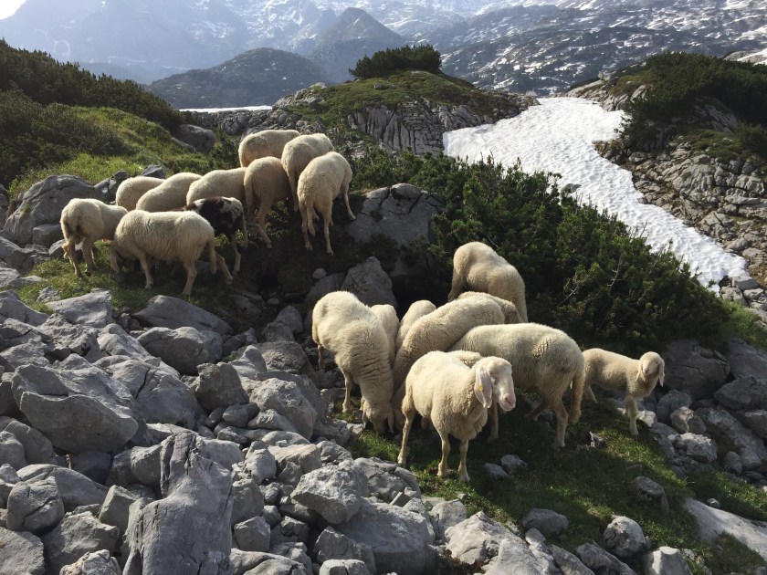 Foto 14.06.15 08 26 53