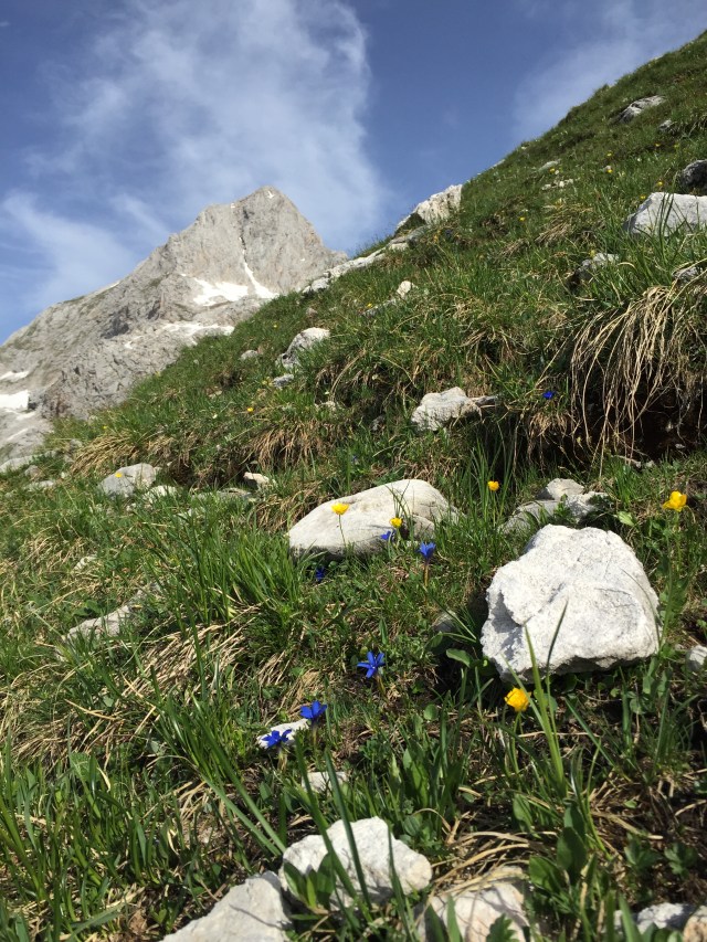 Foto 14.06.15 08 41 47