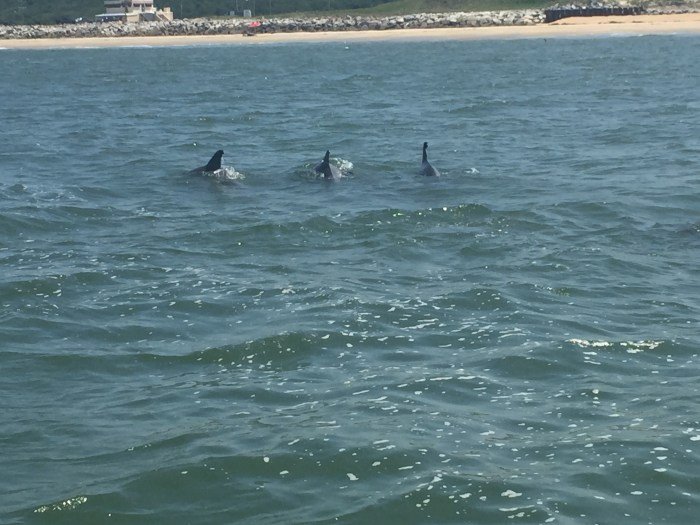 Foto 19.07.15 14 53 09