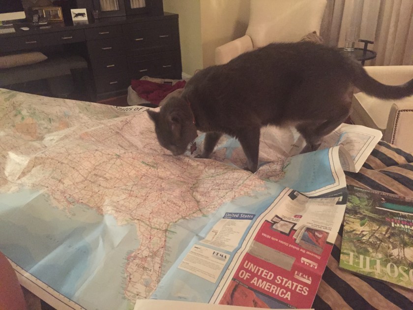 Foto 21.07.15 22 16 38