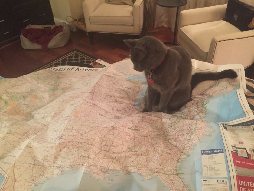 Foto 21.07.15 22 16 45