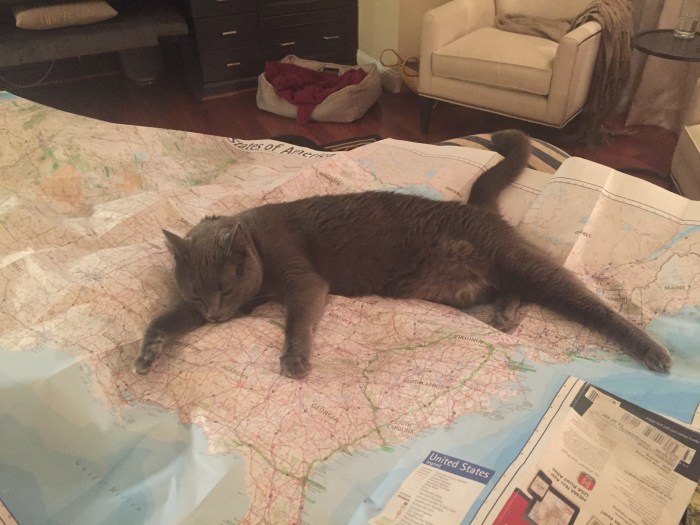 Foto 21.07.15 22 18 18