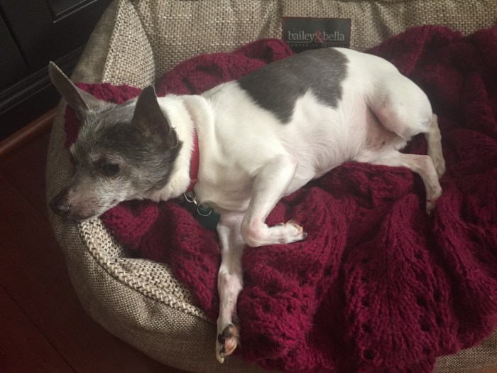 Foto 22.07.15 10 56 53