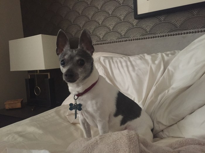 Foto 24.07.15 18 03 08