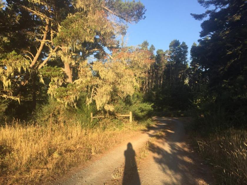 11909770_10206026395012378_1124123009_n