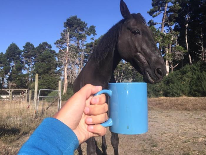 11911834_10206026393052329_1627001723_n