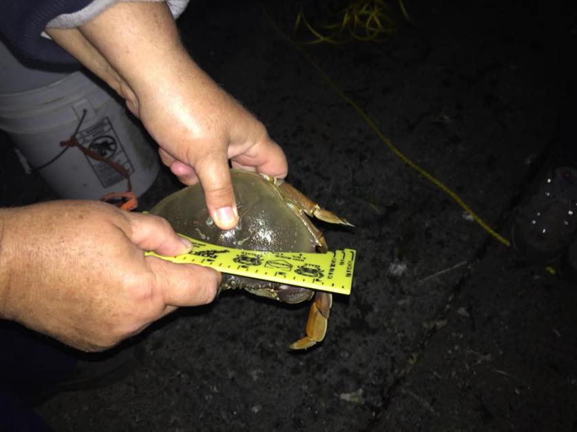 11911912_10206026385532141_363131210_n