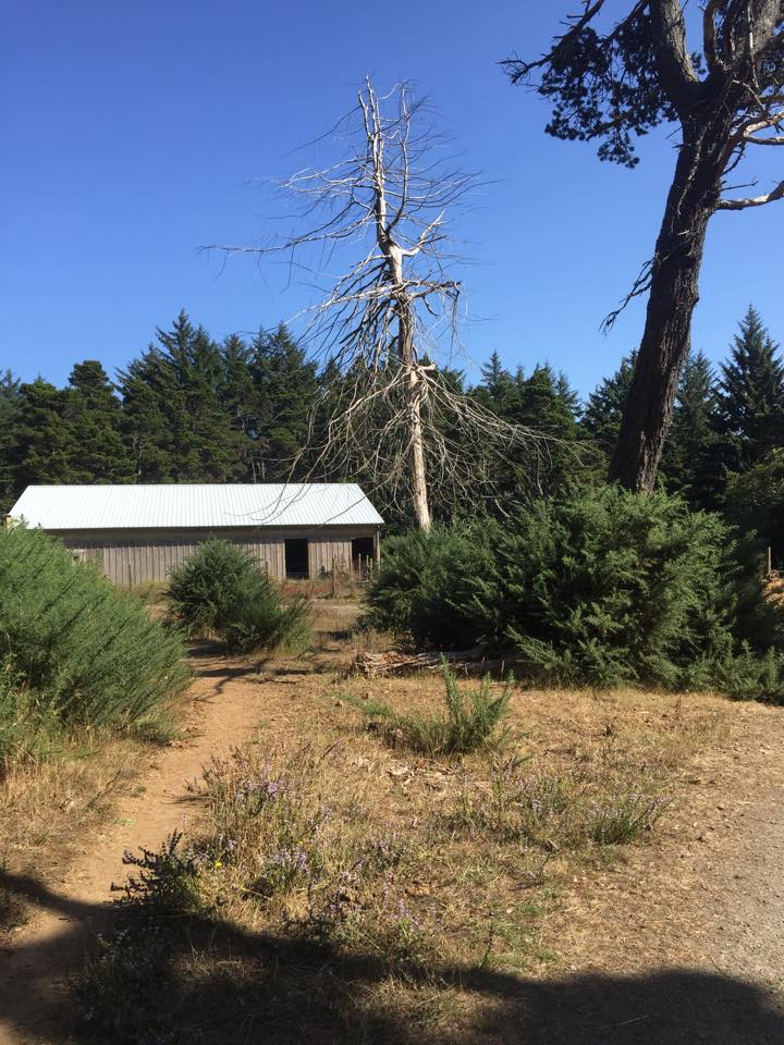 11913566_10206026403172582_1613999410_n