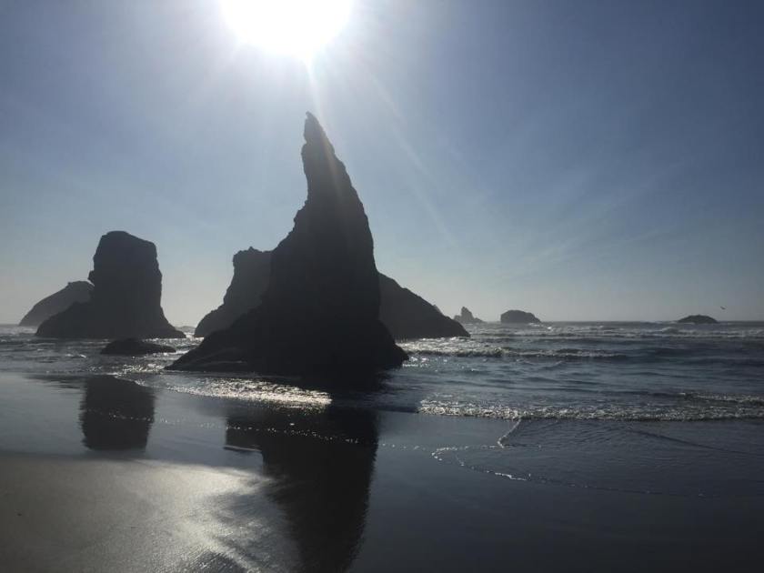 11920429_10206026400612518_1776531305_n