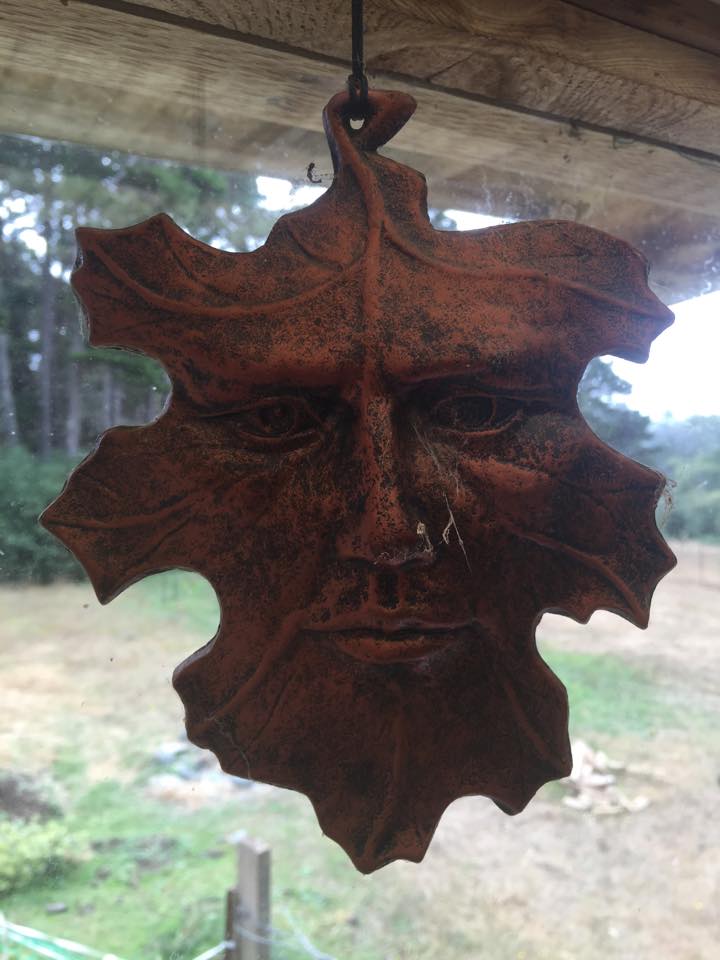 11923014_10206026398652469_1857022746_n