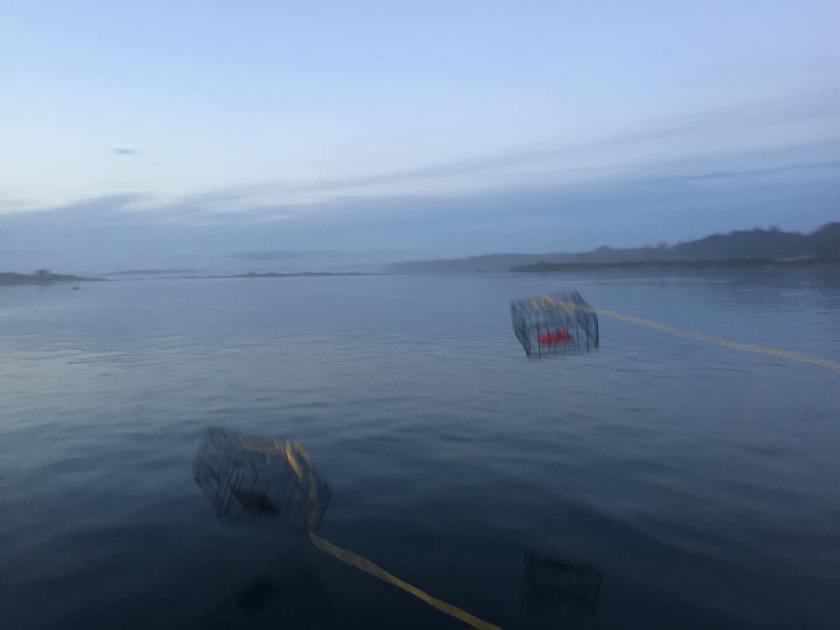 11923345_10206026386372162_719245925_n