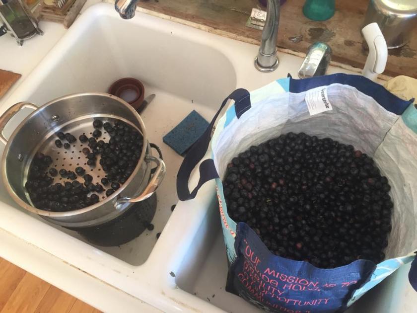 11938881_10206026392532316_471475710_n