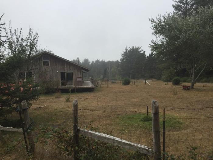 11948312_10206026396652419_37530867_n (1)