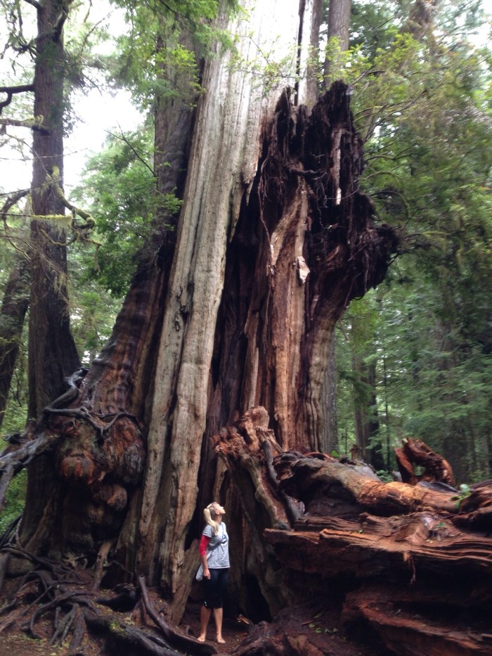 Foto 06.09.15 16 23 45 (1)