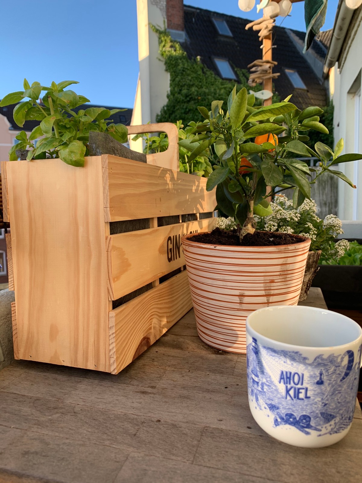 bus \u0026 coach, image size:1200x1600